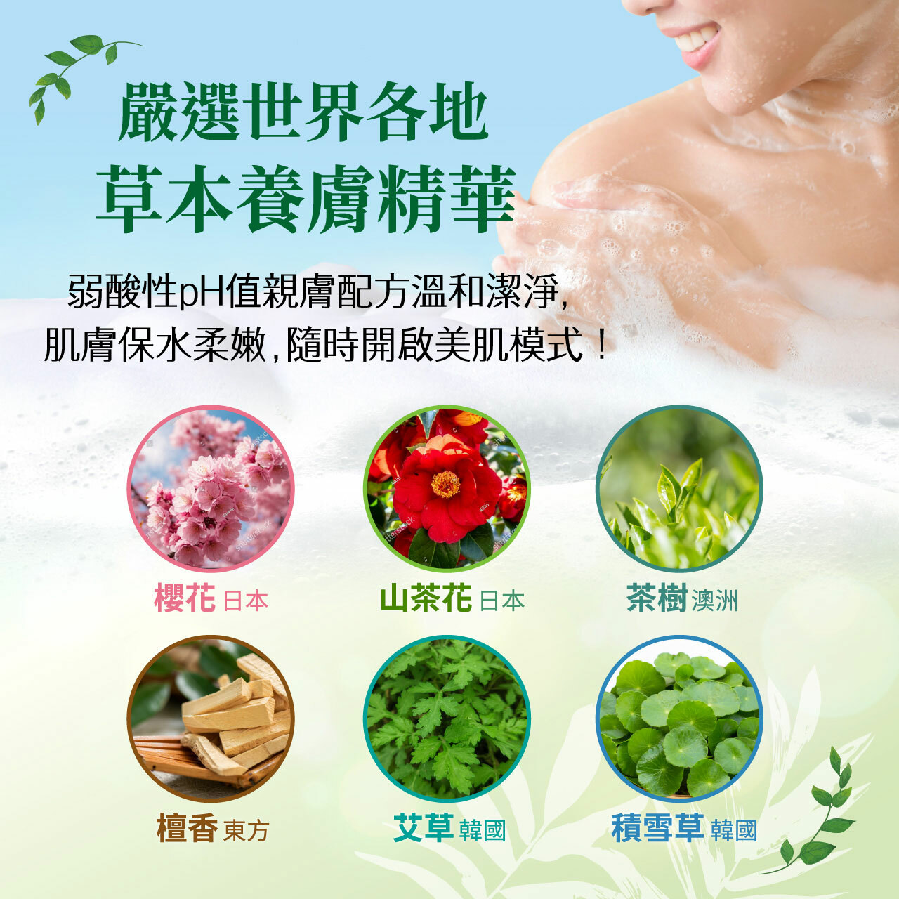 買1送1(下單1 出貨2)【草本主義】檀香水嫩舒緩沐浴露540ml/瓶(1/23 11:00-2/24 10:59買1送1(下單1  出貨2，限同品項)，此優惠僅限活動時間內成立之訂單) ｜美吾髮『可海外配送』