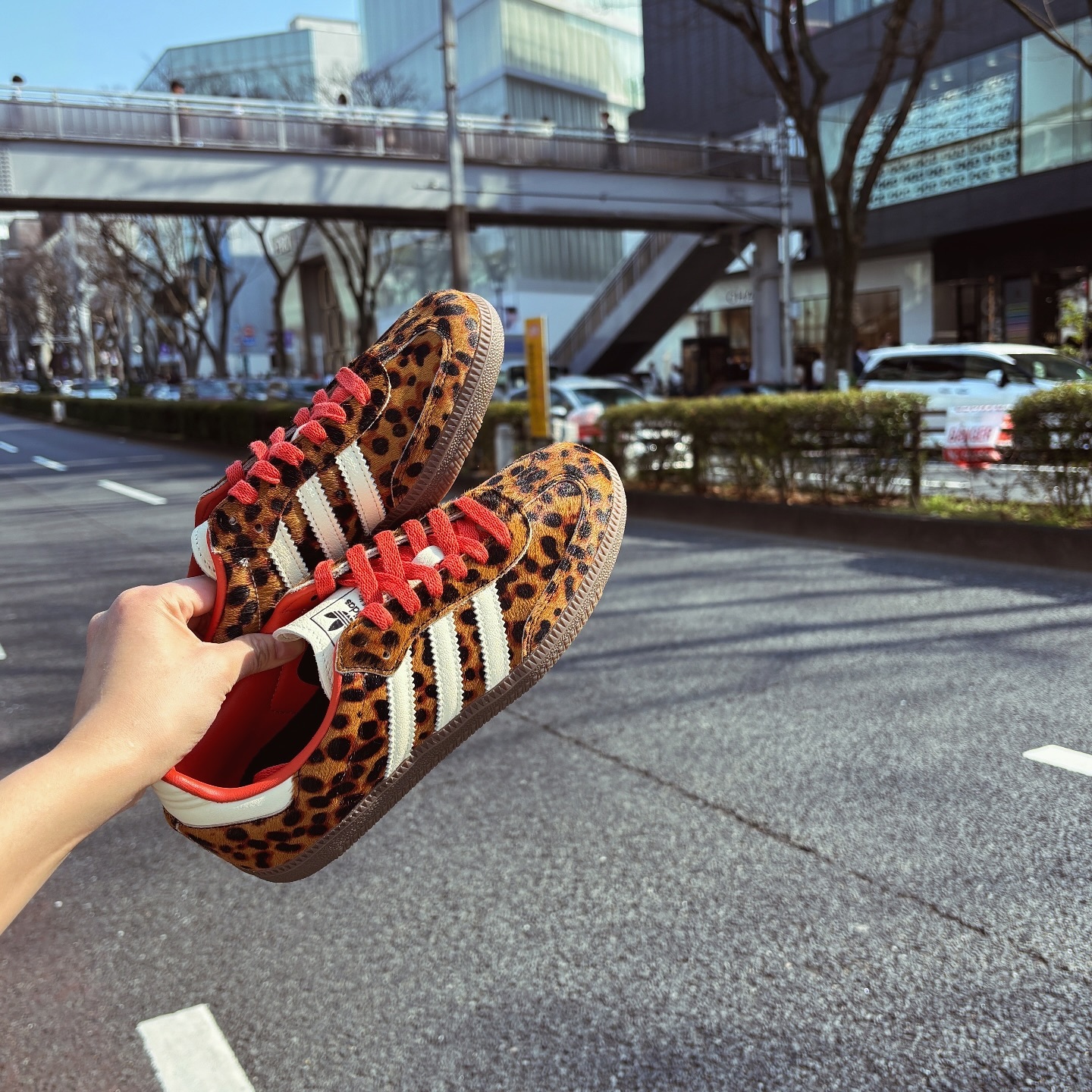 Adidas Originals Samba OG 豹紋 馬毛 限定款 森巴鞋 JI2734