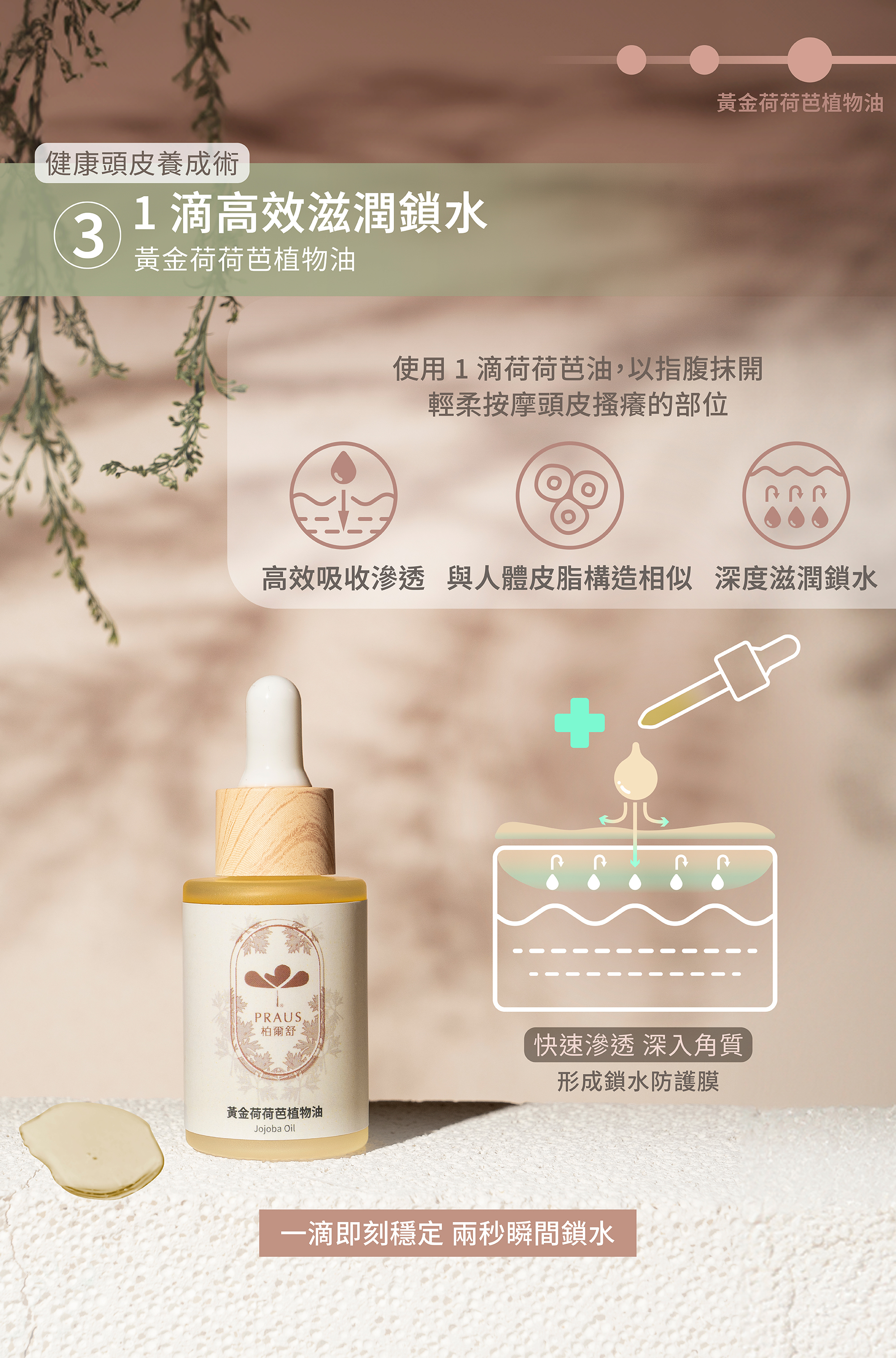 脂漏性頭皮,頭皮癢,頭皮屑,植物油按摩,囟賽,油頭