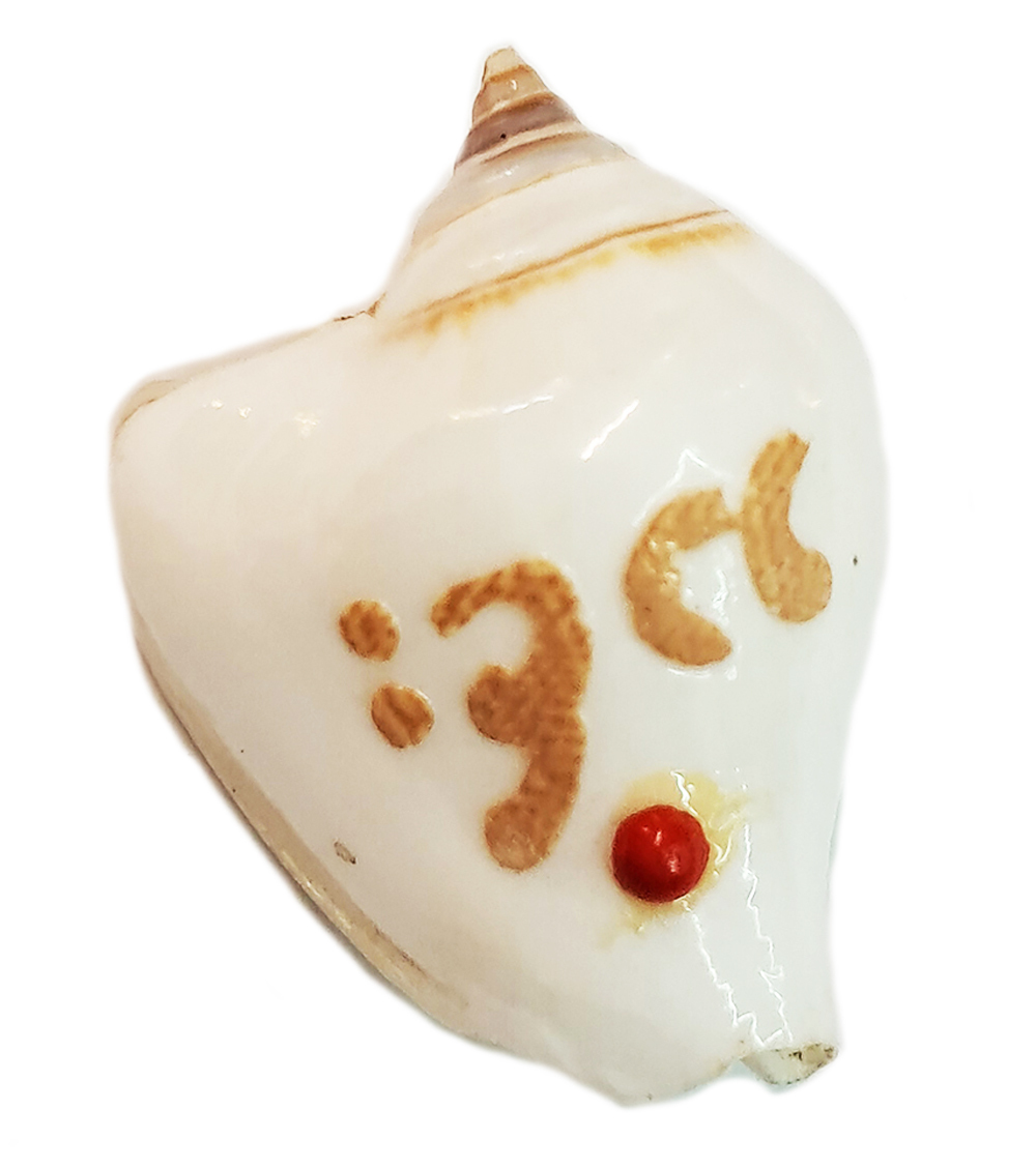 印尼寺院加持法螺3公分【十方】138486