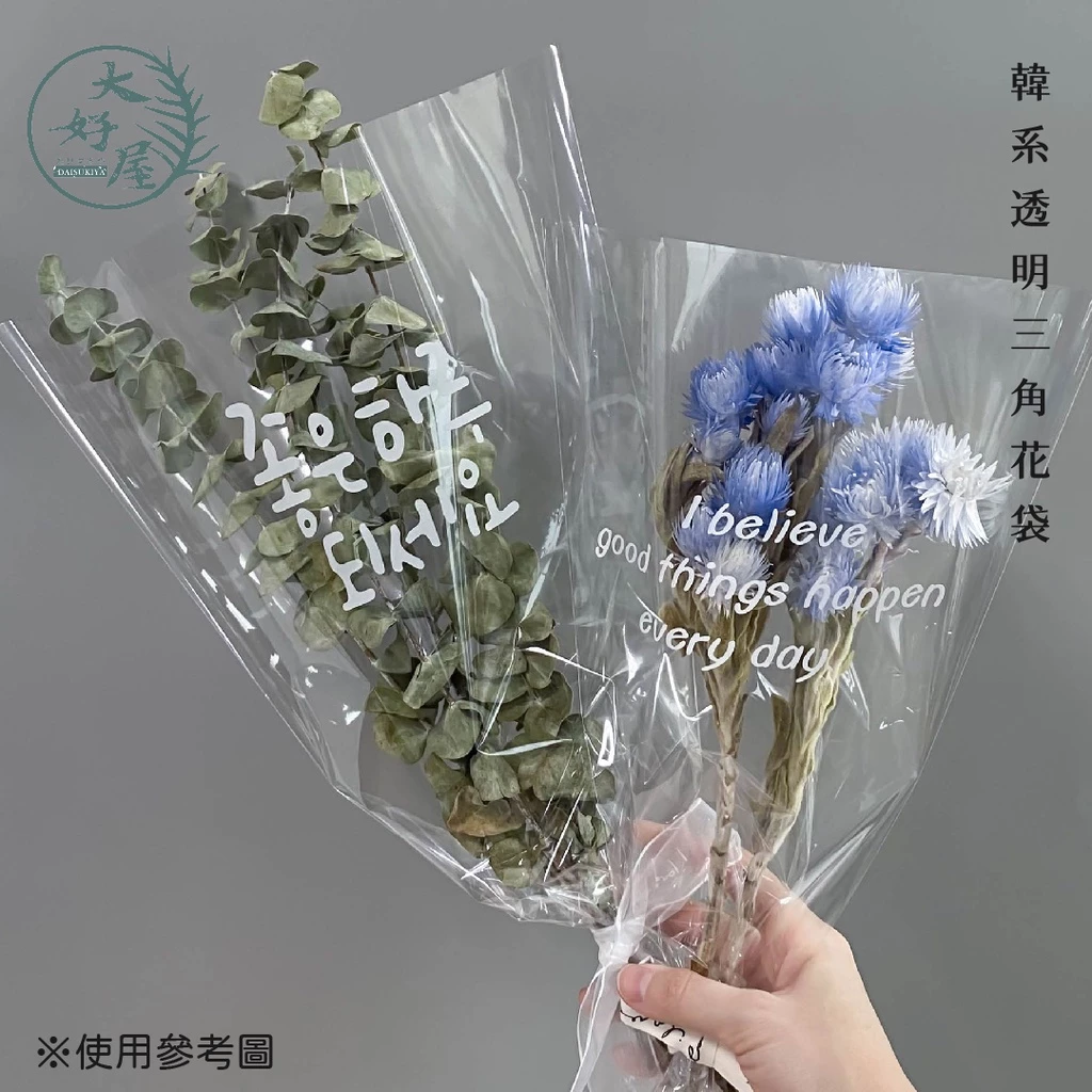 【網】韓系透明三角花袋 【單個】