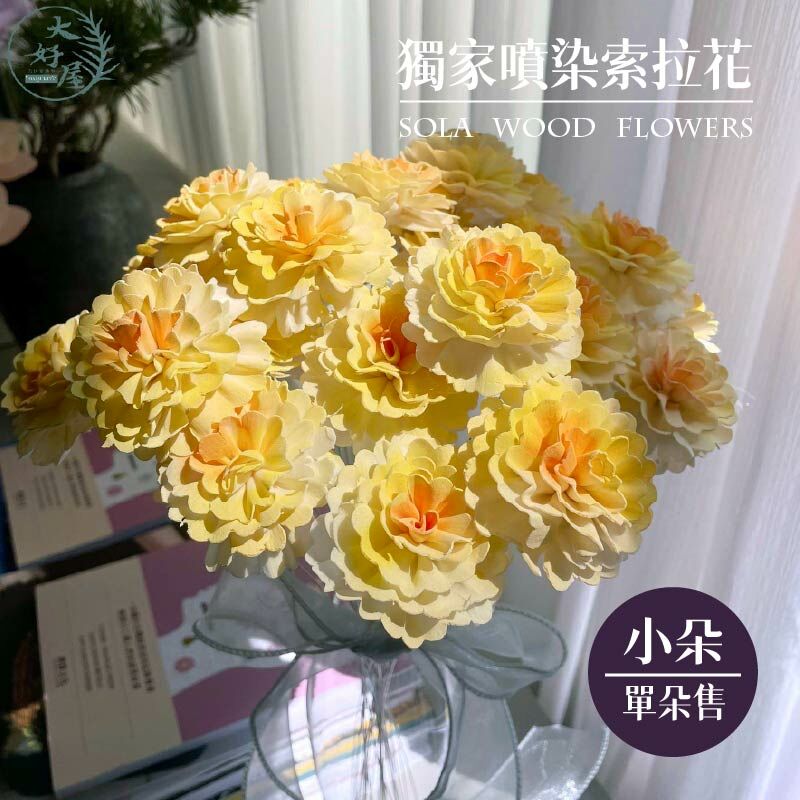 【網】噴染各式索拉 (單朵 / 6朵裝 / 8朵裝)