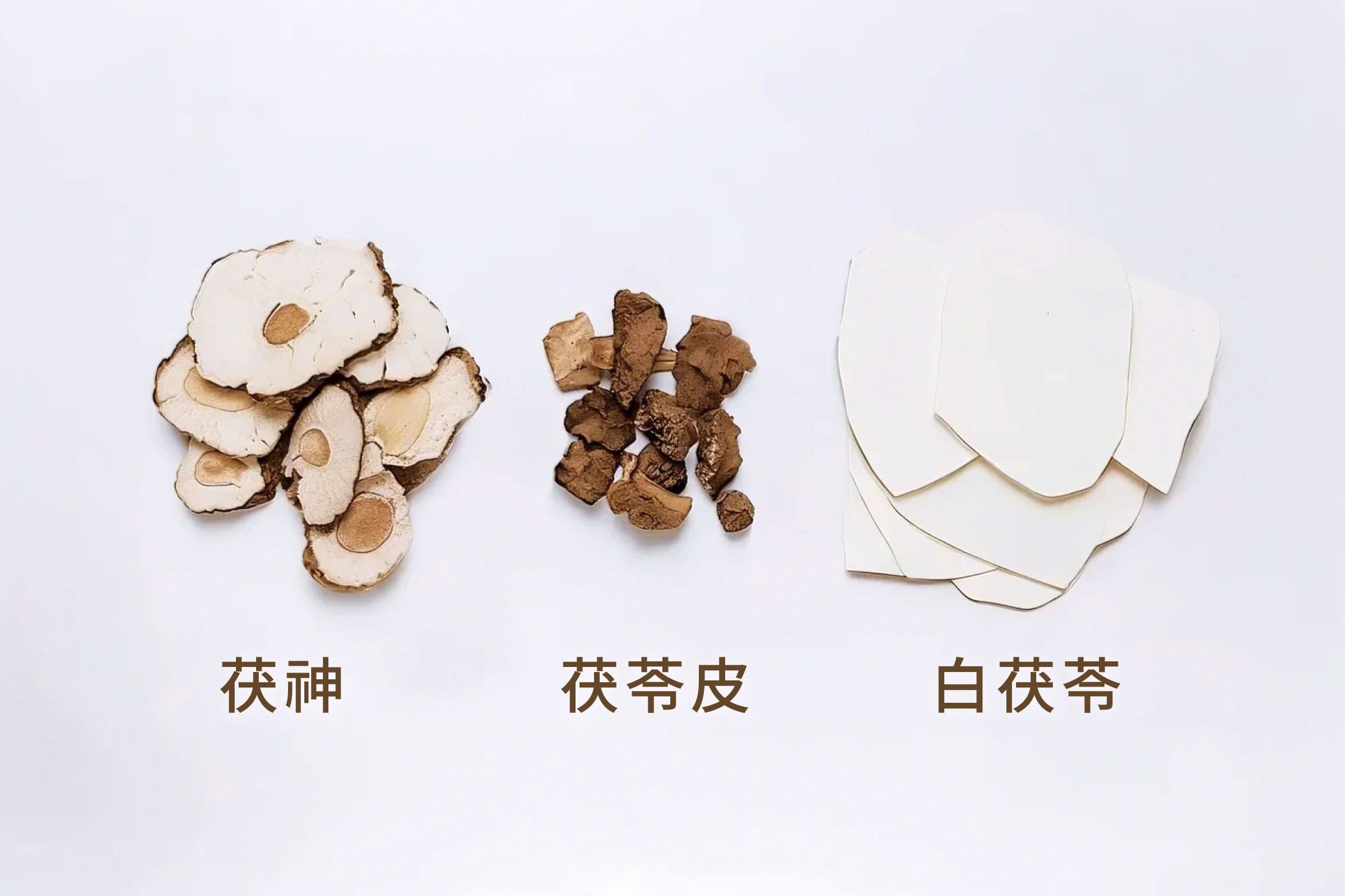 茯苓部位介紹