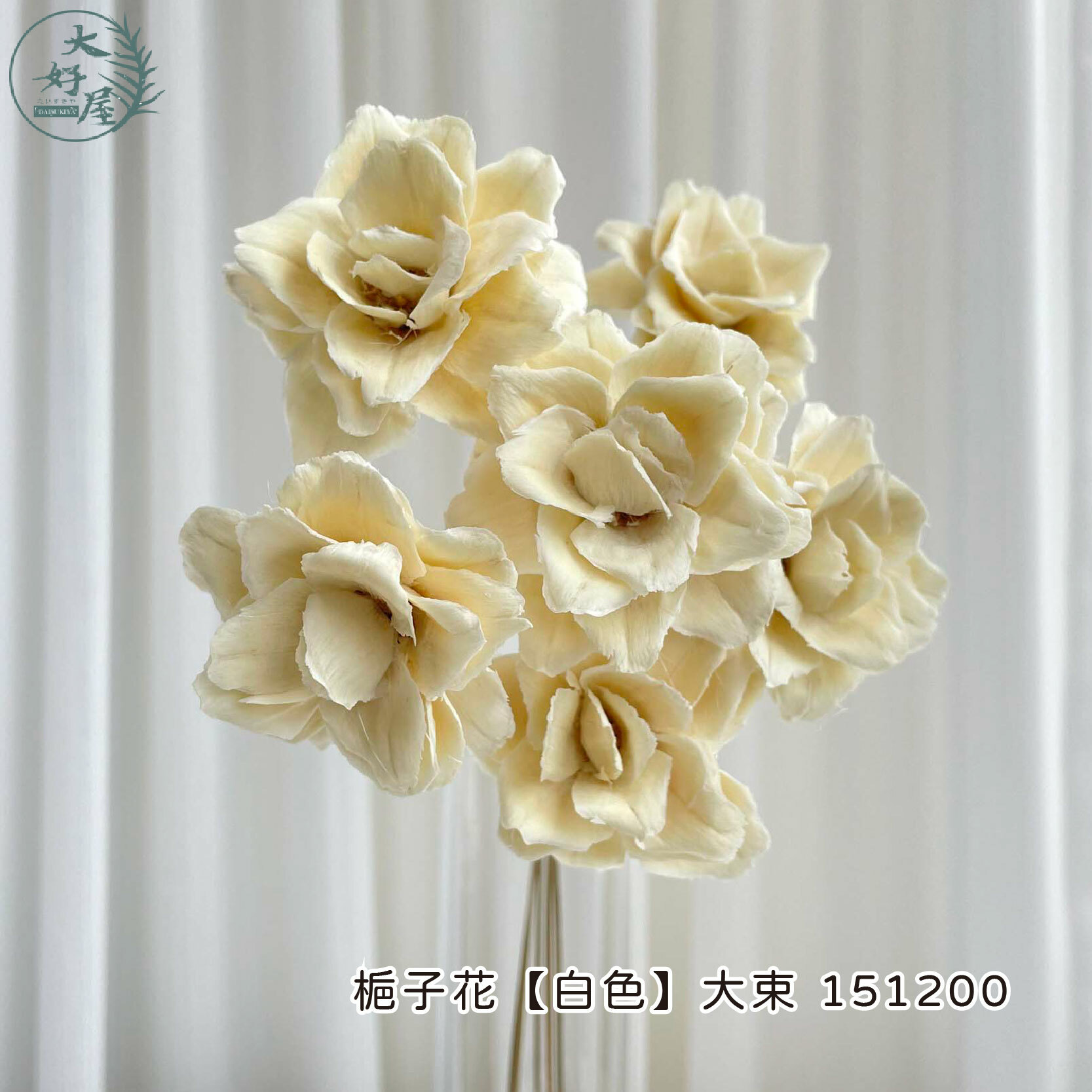 梔子花【6枝裝】