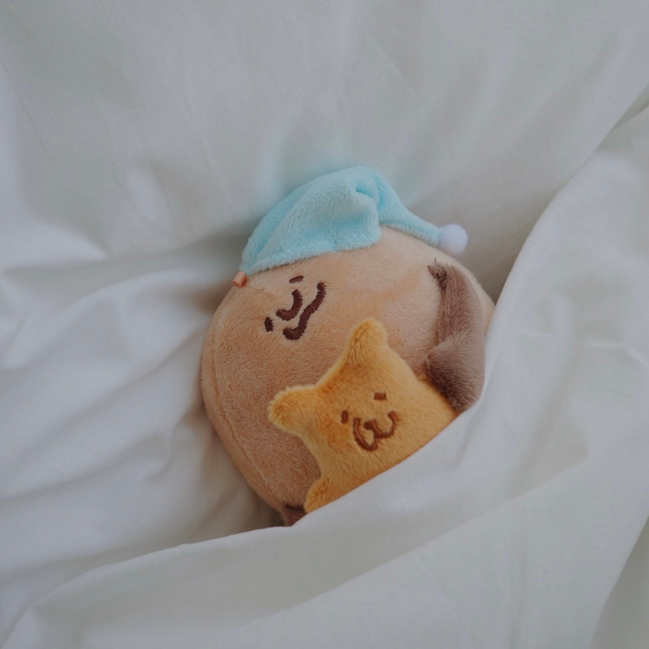 咻熊家的小泥們 晚安小泥