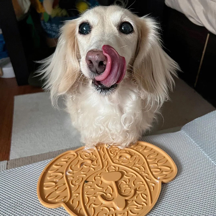 OMOM 寵物舔食墊 | 大頭狗入門款