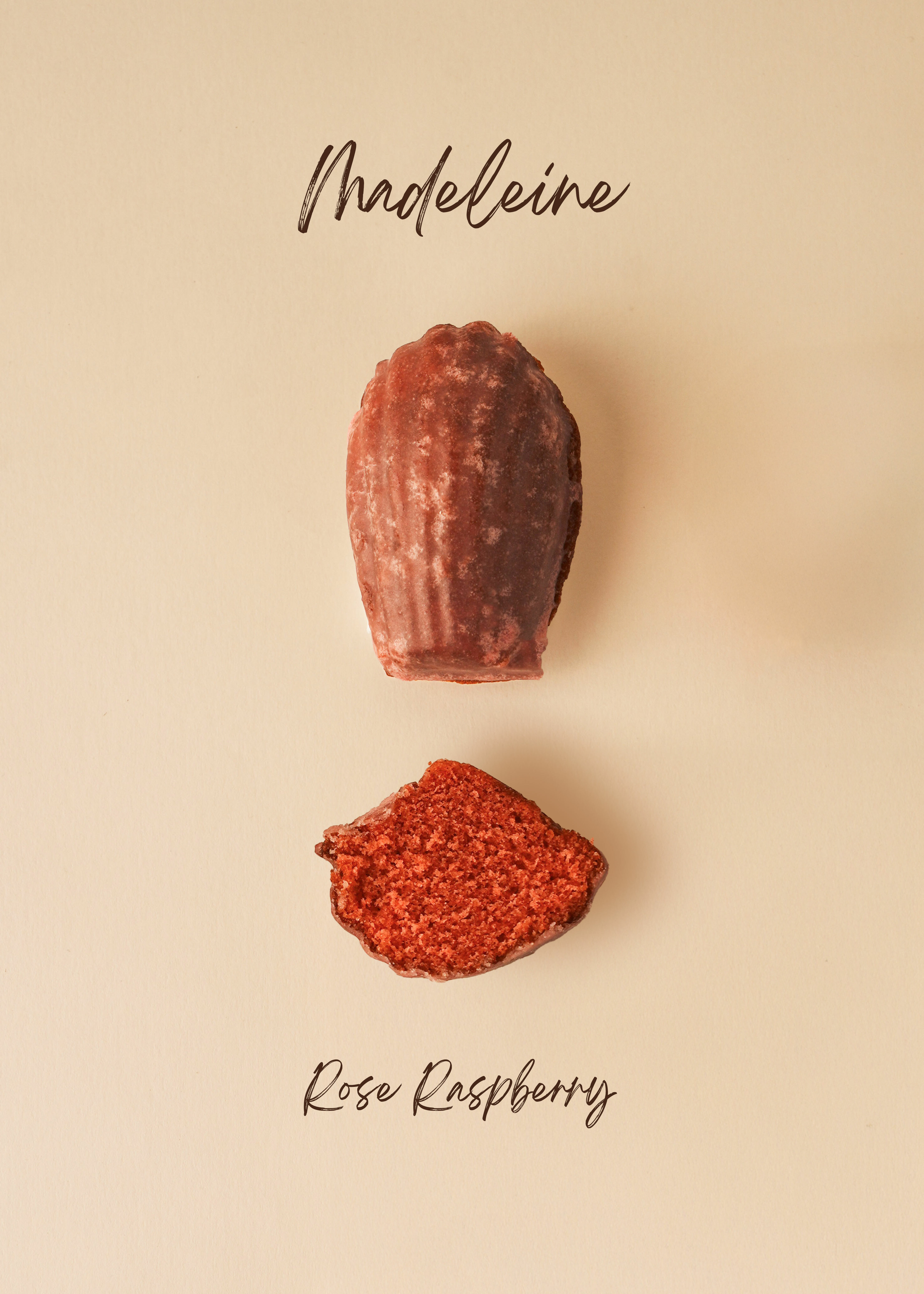 玫瑰覆盆子瑪德蓮禮盒｜8入