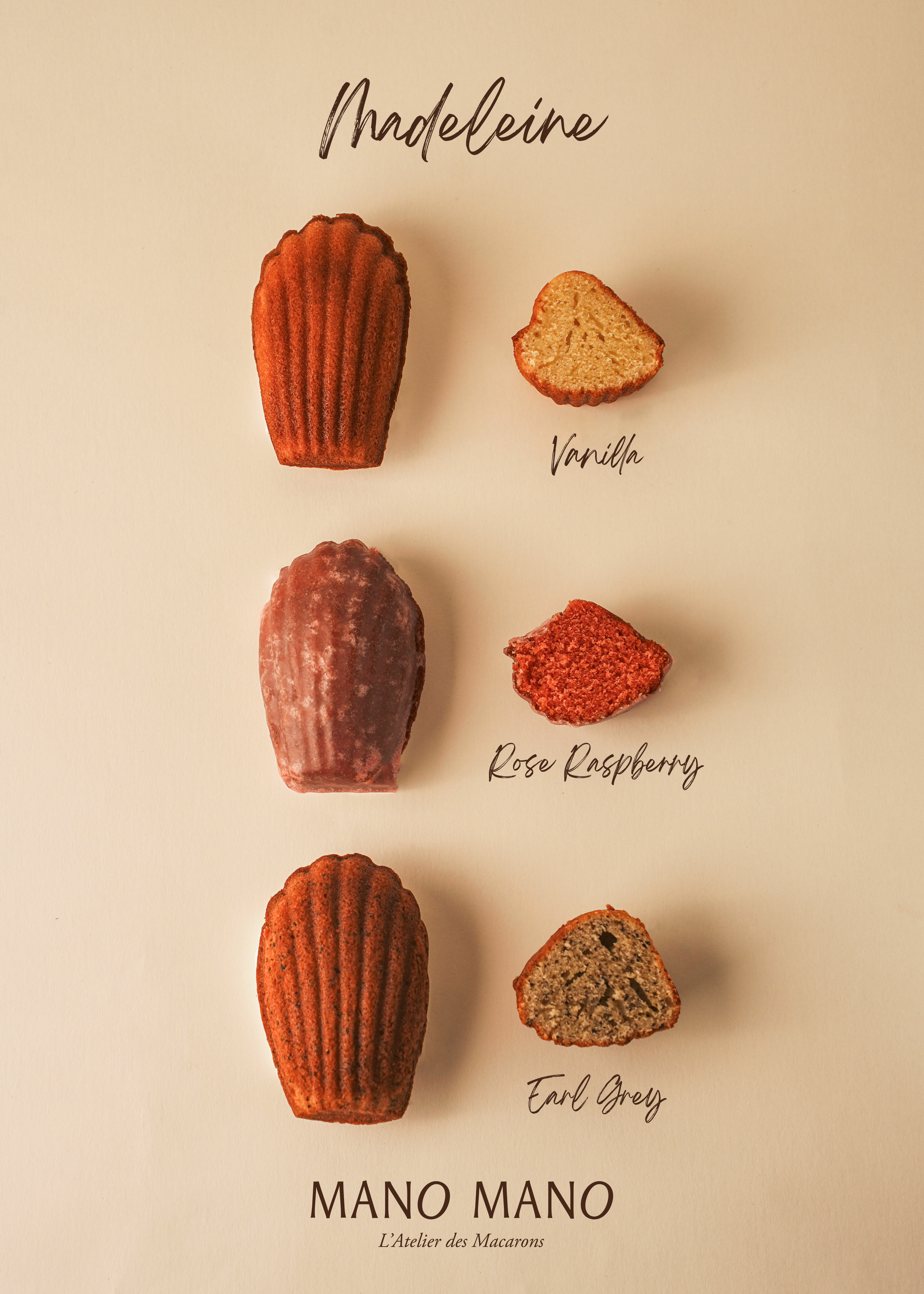 綜合瑪德蓮禮盒｜8入