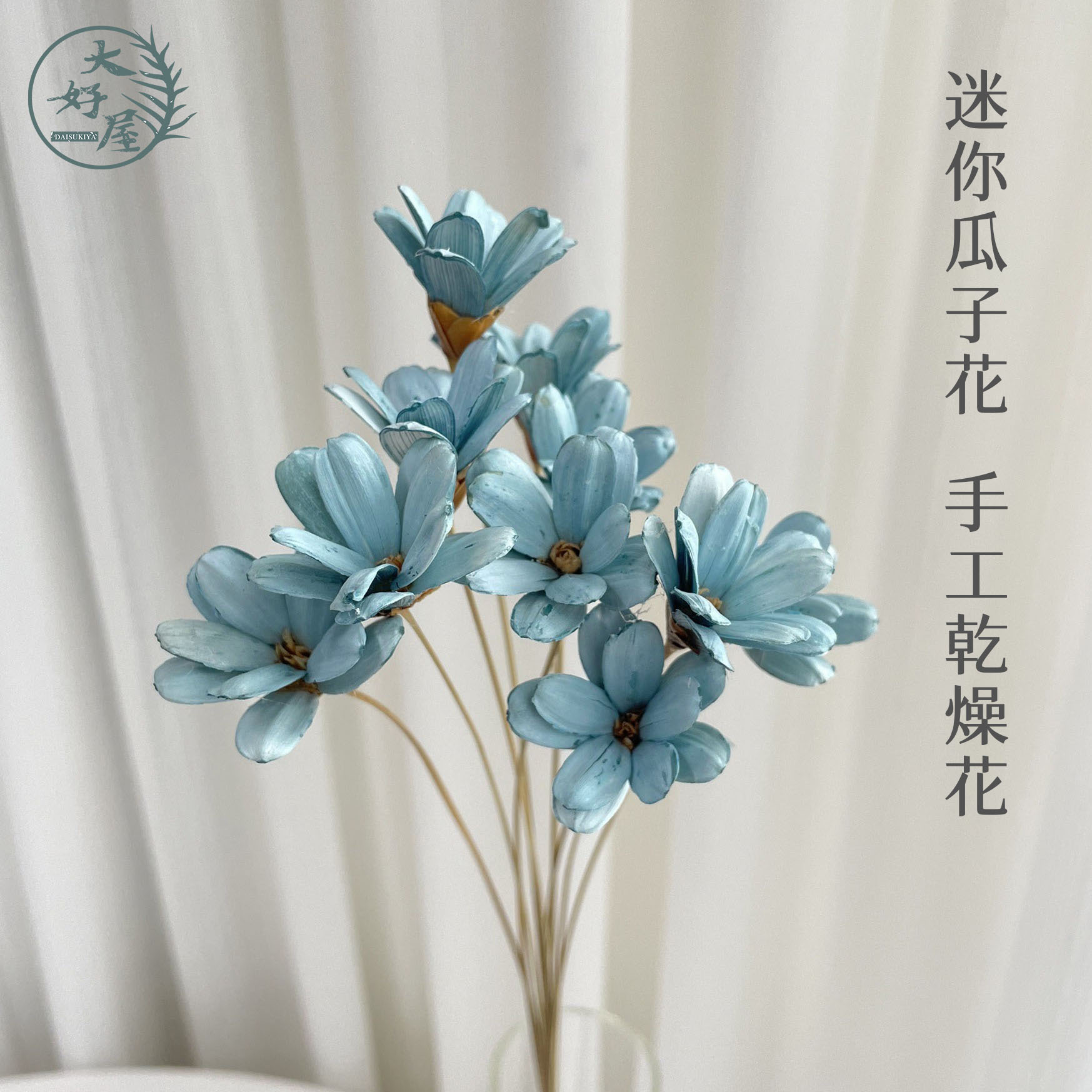 迷你瓜子花【10支裝】
