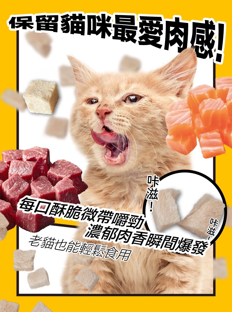 貓樂園｜無敵100%原肉凍乾 大罐裝 (犬貓凍乾零食)