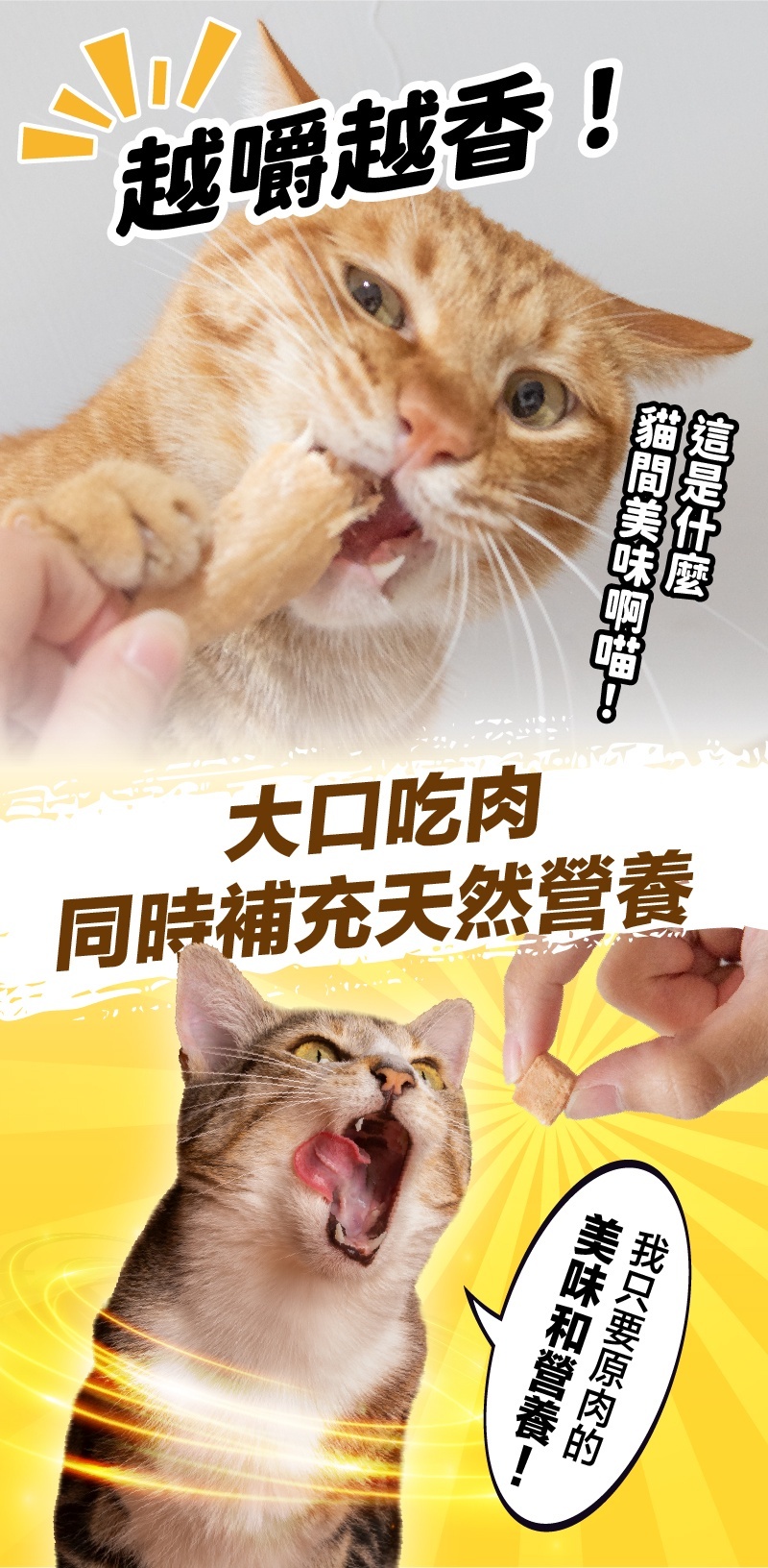 貓樂園｜無敵100%原肉凍乾 大罐裝 (犬貓凍乾零食)