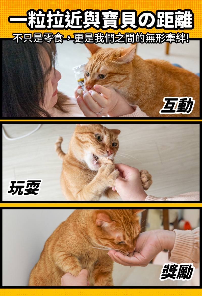 貓樂園｜無敵100%原肉凍乾 大罐裝 (犬貓凍乾零食)