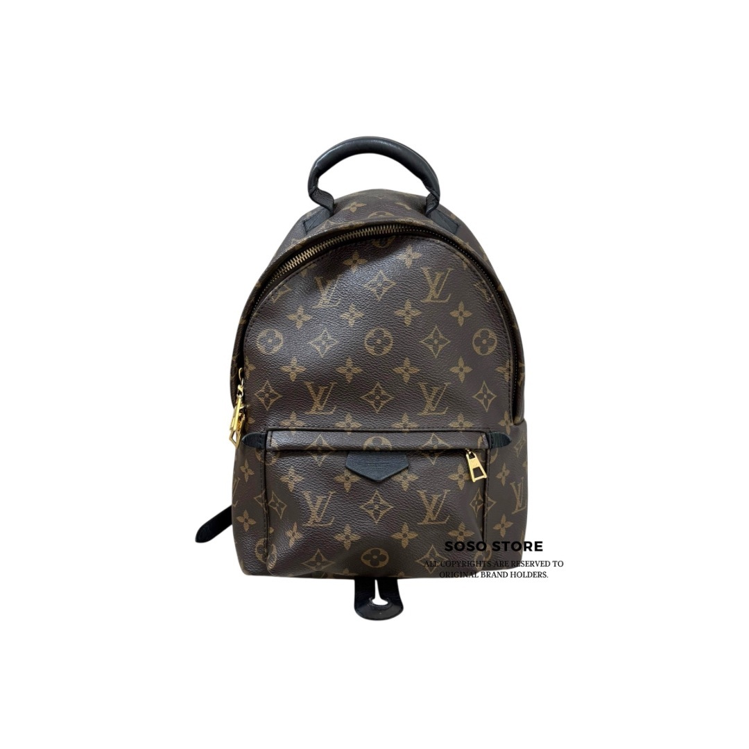 LV Backpack - Brown / Ghw