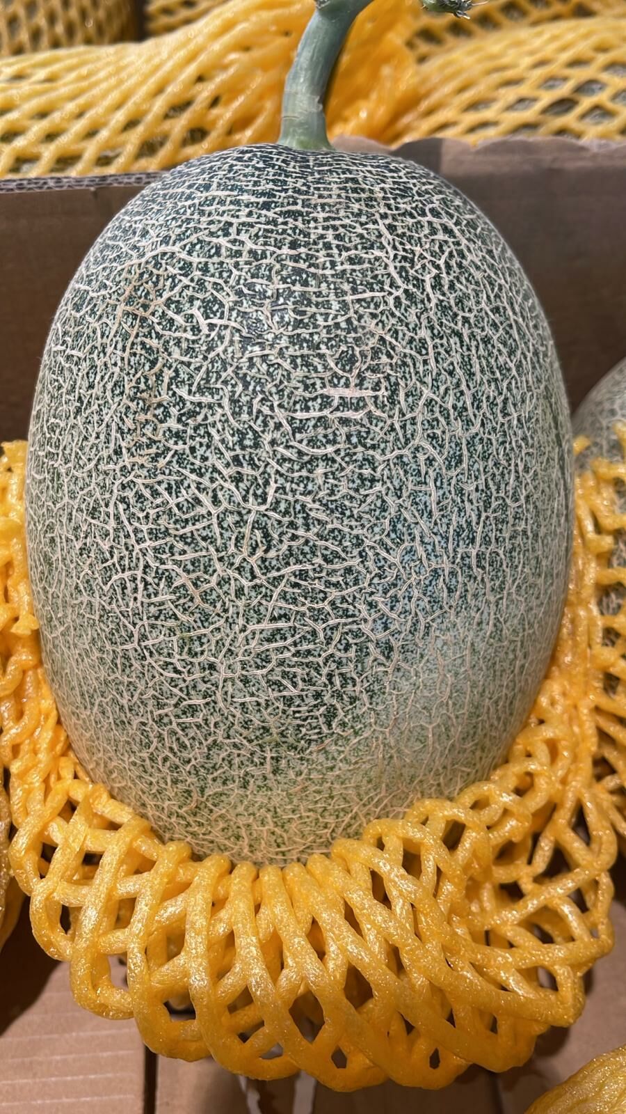 Bless Fruit 翡翠蜜瓜