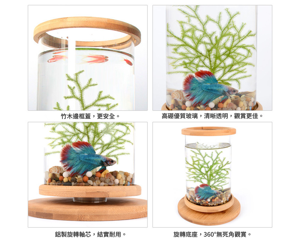 竹木邊框蓋，更安全。 高硼優質玻璃，清晰透明，觀賞更佳。 鋁製旋轉軸芯，結實耐用。 旋轉底座，360°無死角觀賞。
