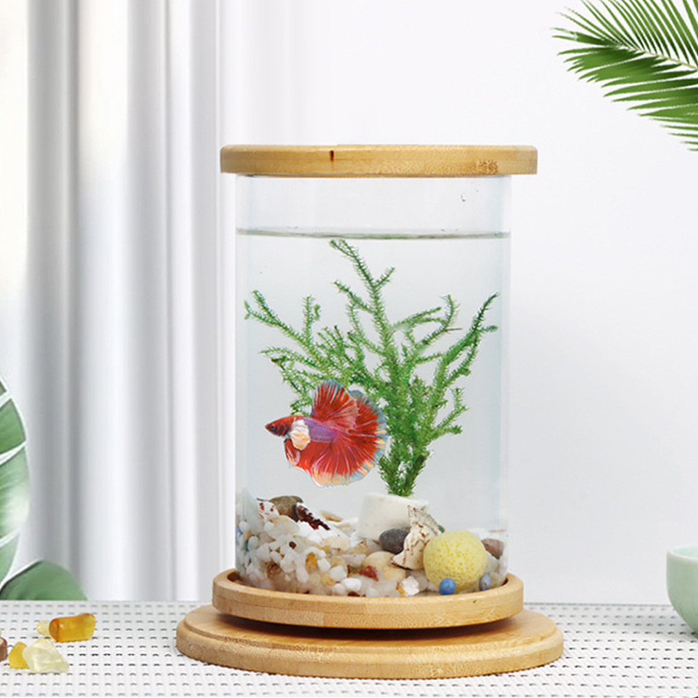 高清透明，加厚玻璃，耐碰撞