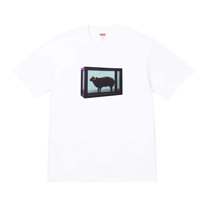 Supreme Black Sheep Tee White 黑山羊短袖 白色 SS25T5-WE [台灣現貨]