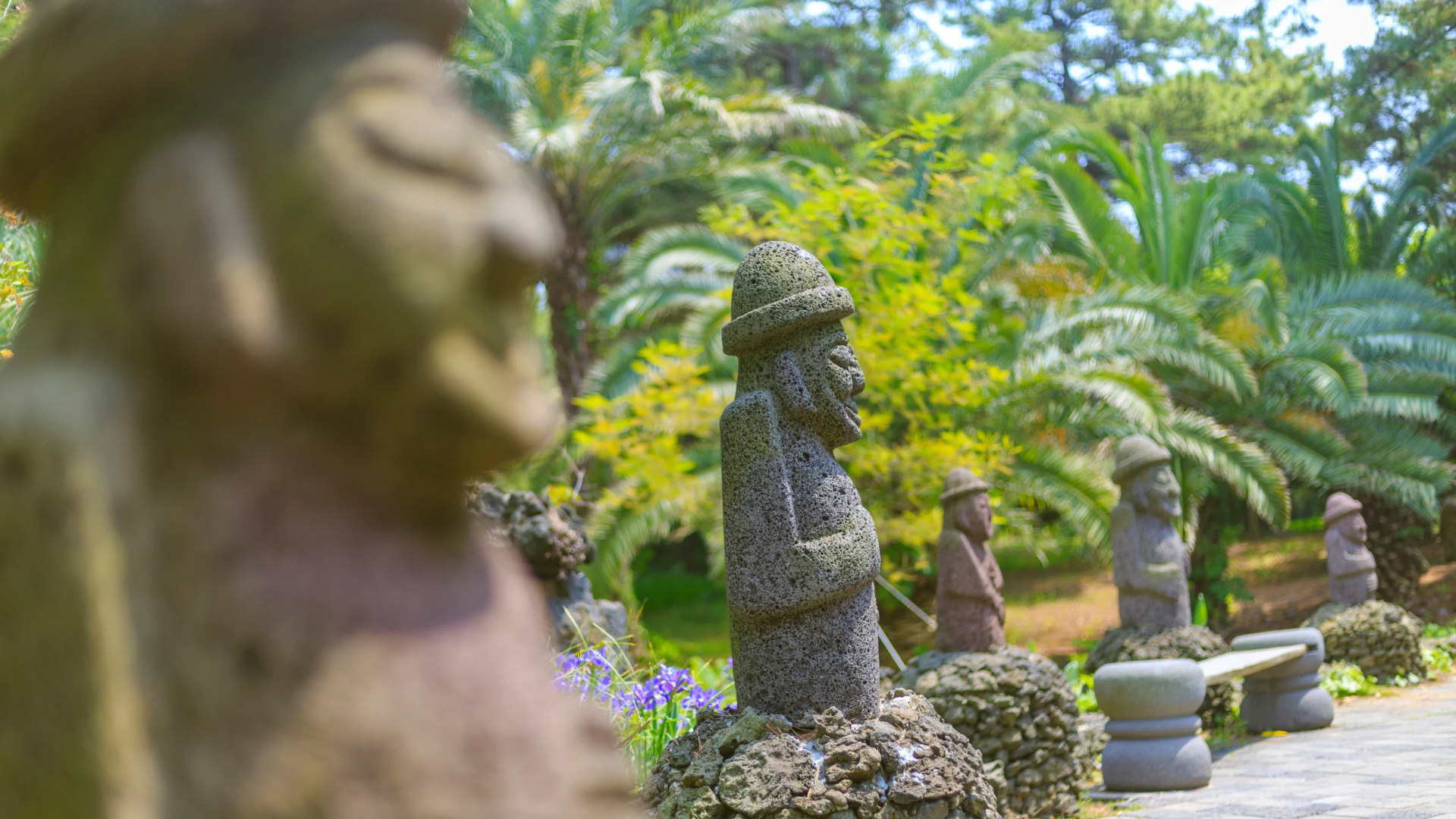 濟州島旅遊,穀雨,石像,油菜花,櫻花,24節氣,備孕,經期調理,春季旅遊,雞湯