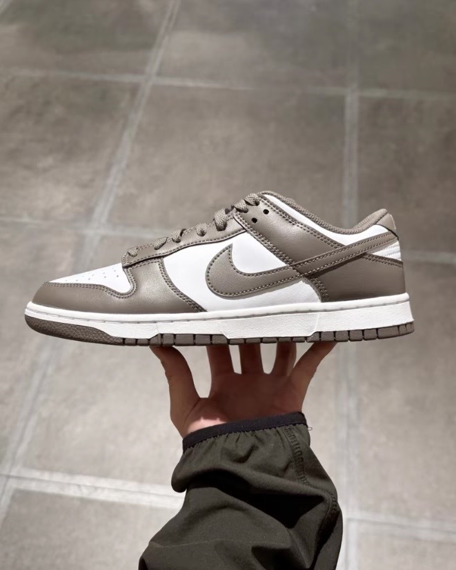 NIKE DUNK LOW RETRO 灰色調 淺咖 咖啡色 休閒鞋 HF5441111