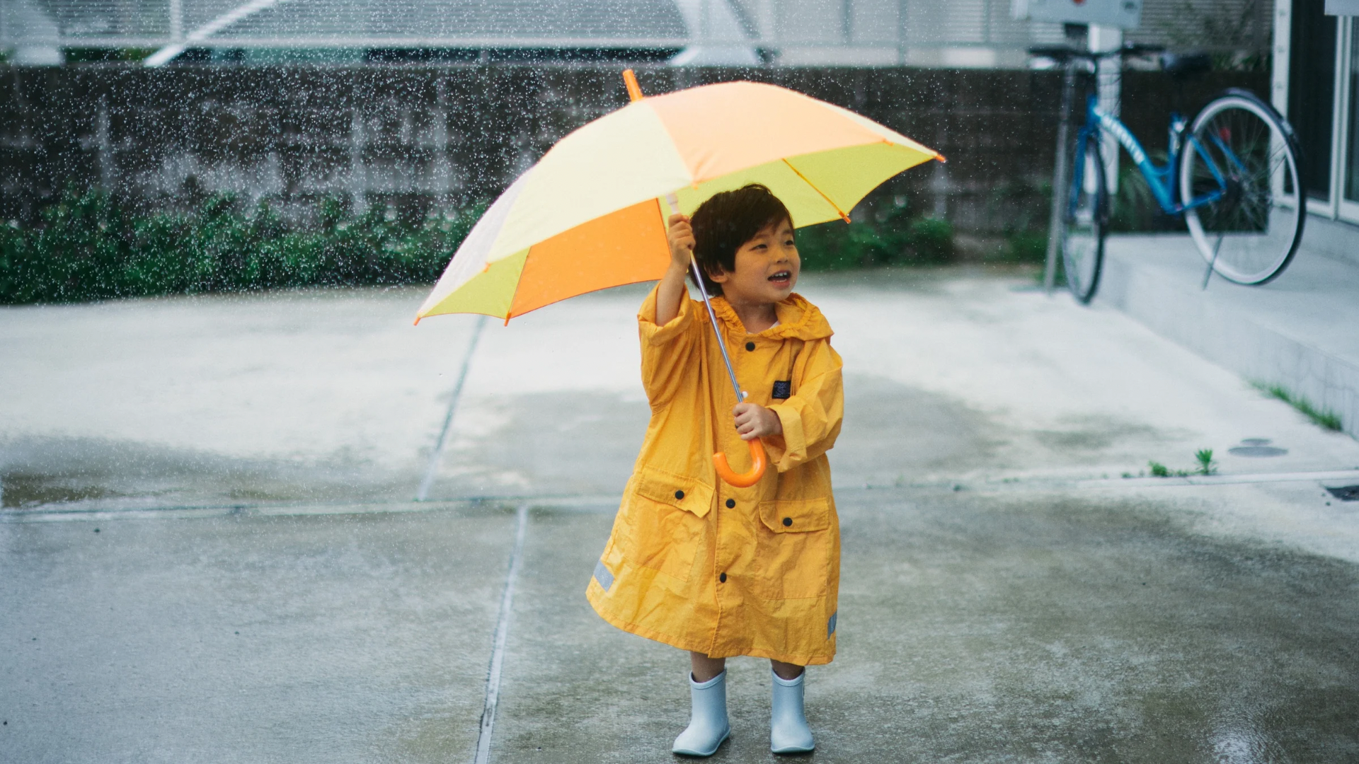 幸運色,黃色,穀雨,24節氣,春季旅遊,備孕,雞湯,中藥雞湯,養生