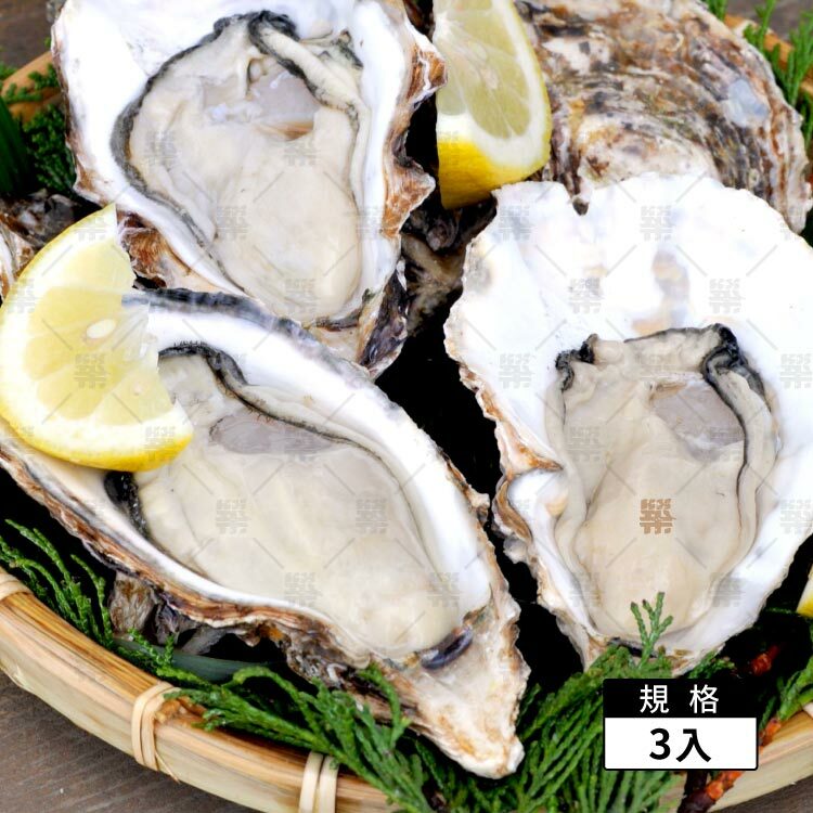來自日本產量第一的廣島生蠔