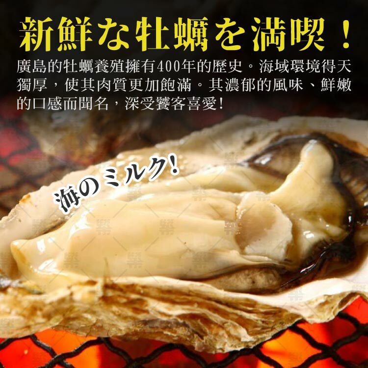 得天獨厚使廣島生蠔肉質更為豐滿濃郁