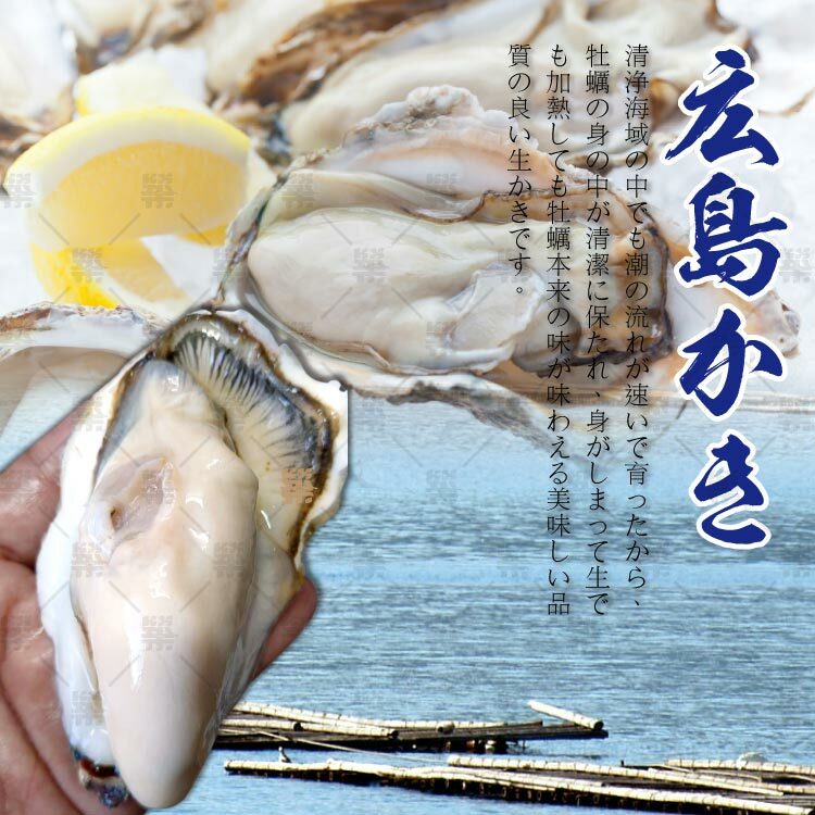 擁有超過400年的生蠔養殖技術顆顆達到最佳品質