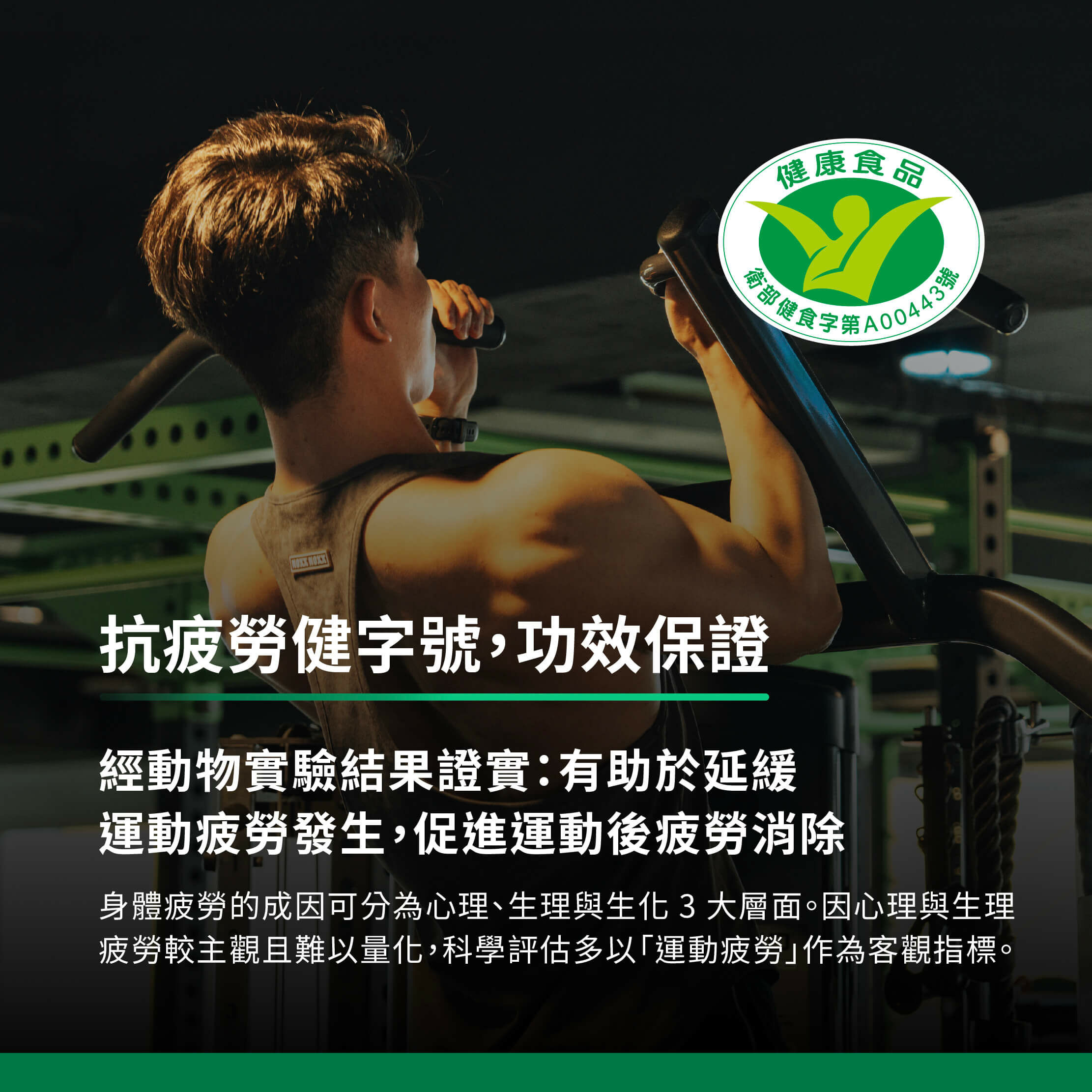 抗疲勞健字號,功效保證