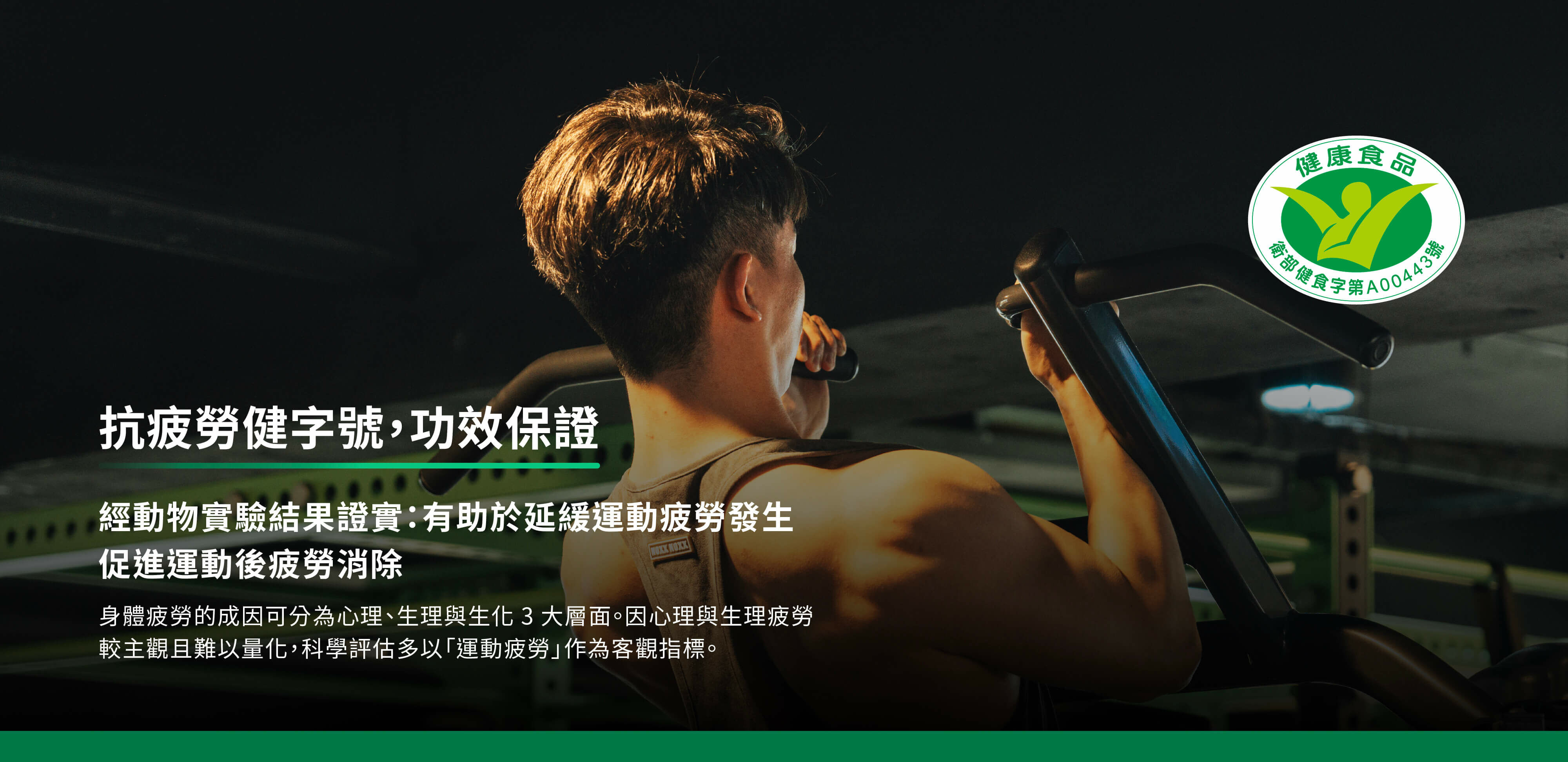 抗疲勞健字號,功效保證