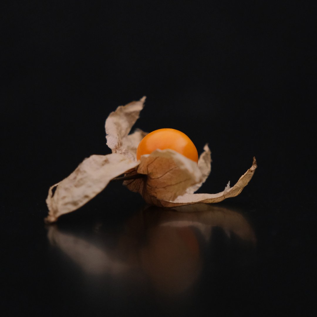 日本種燈籠果禮盒