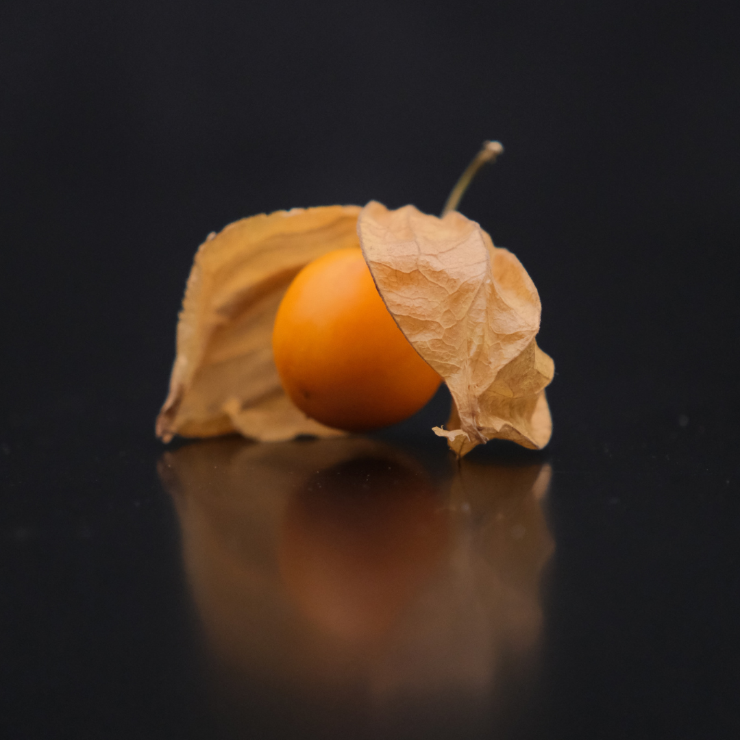 日本種燈籠果禮盒