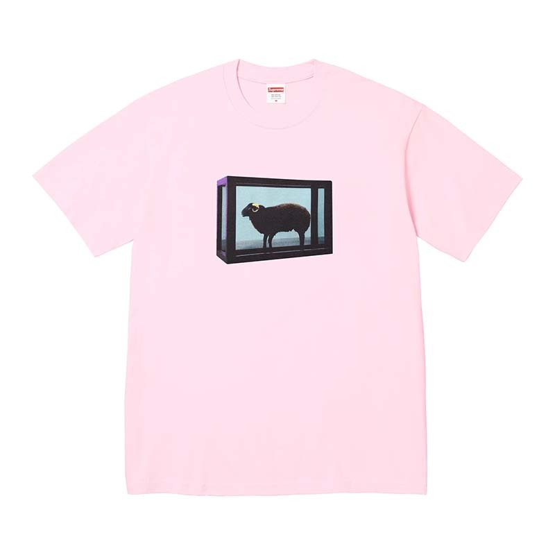 Supreme Black Sheep Tee Light Pink 黑山羊短袖 粉紅色 SS25T5-LK [台灣現貨]