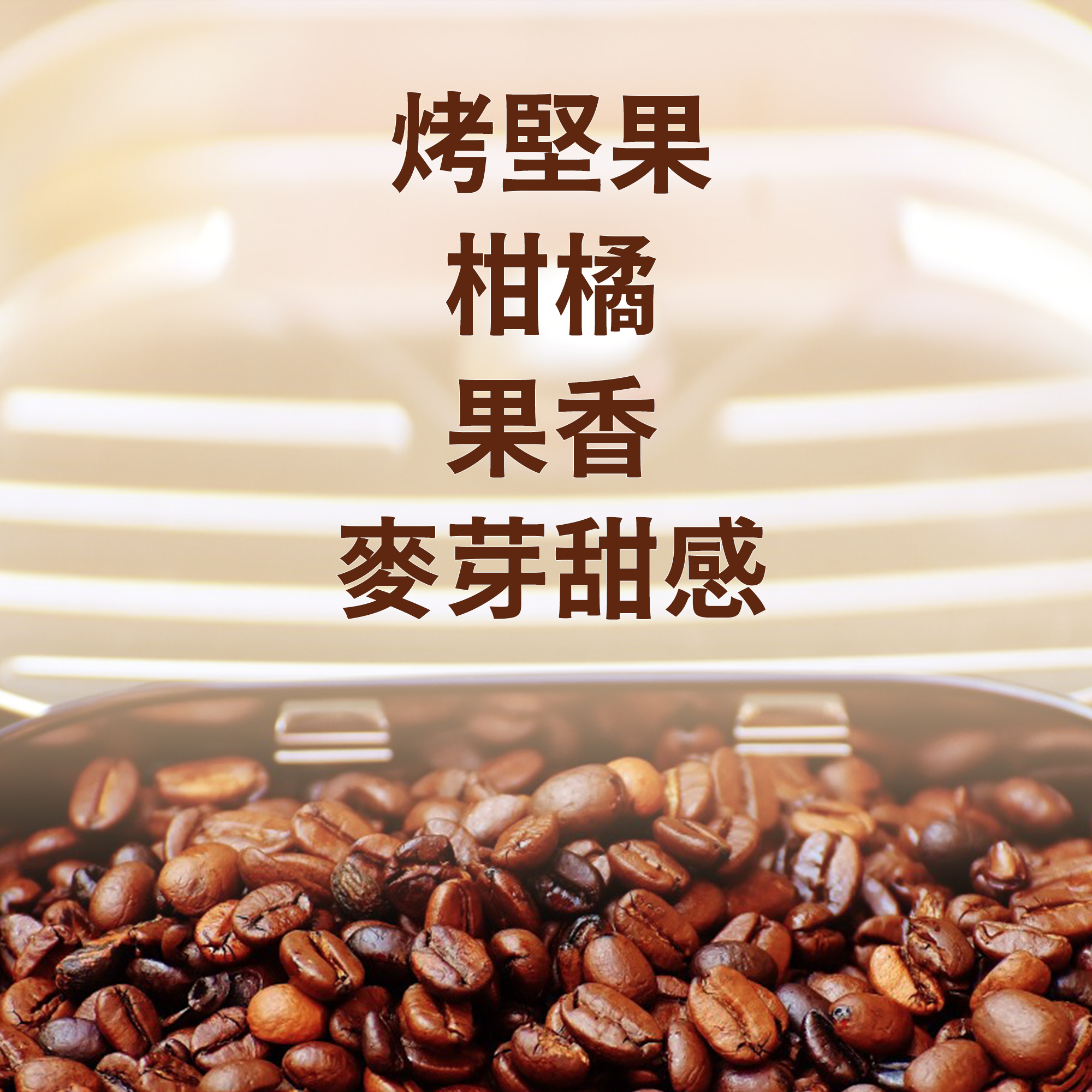 浸泡8包 / 中深焙 麥芽考堅果 配方浸泡 / 茶包式咖啡 / 冷萃咖啡