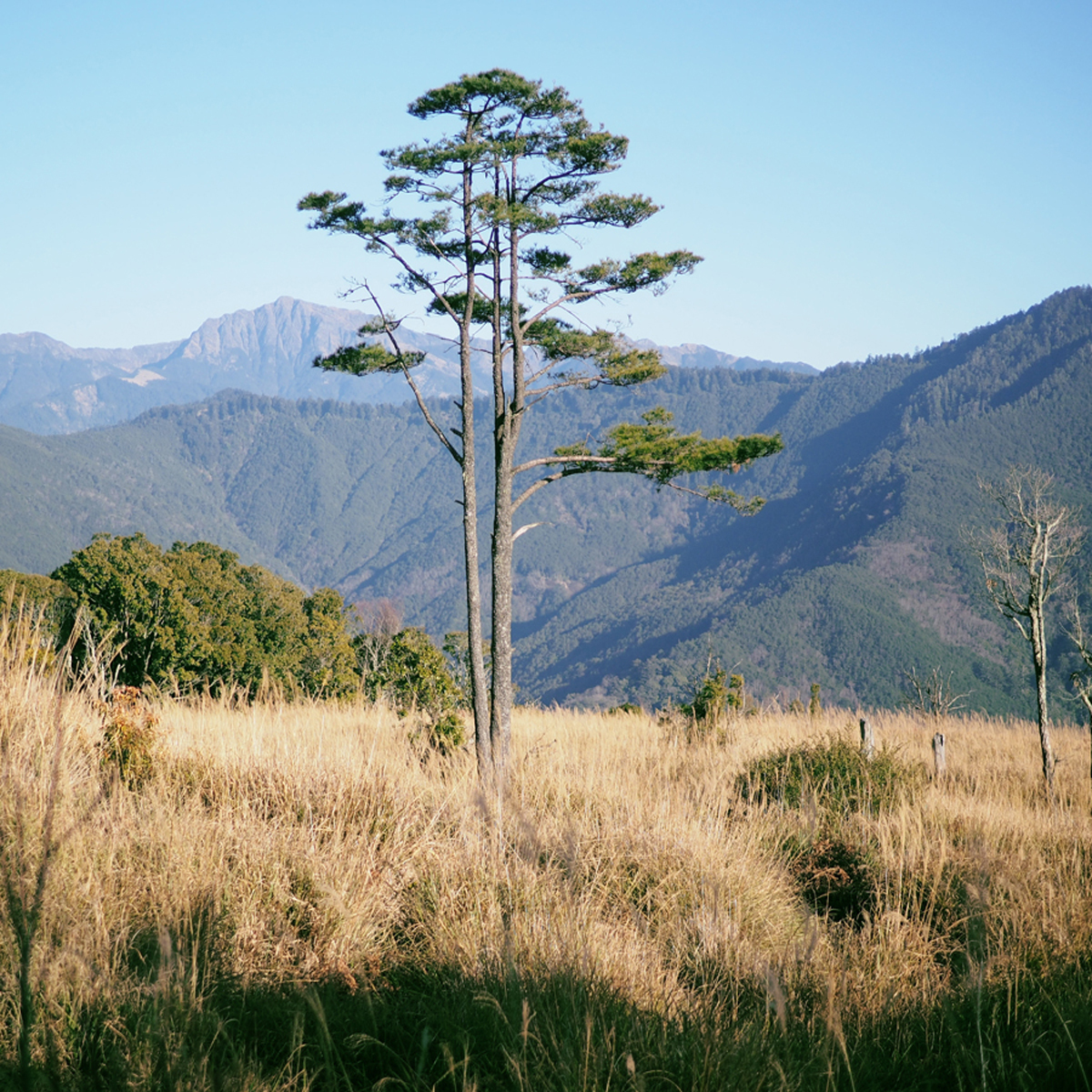 羅馬縱走單日行