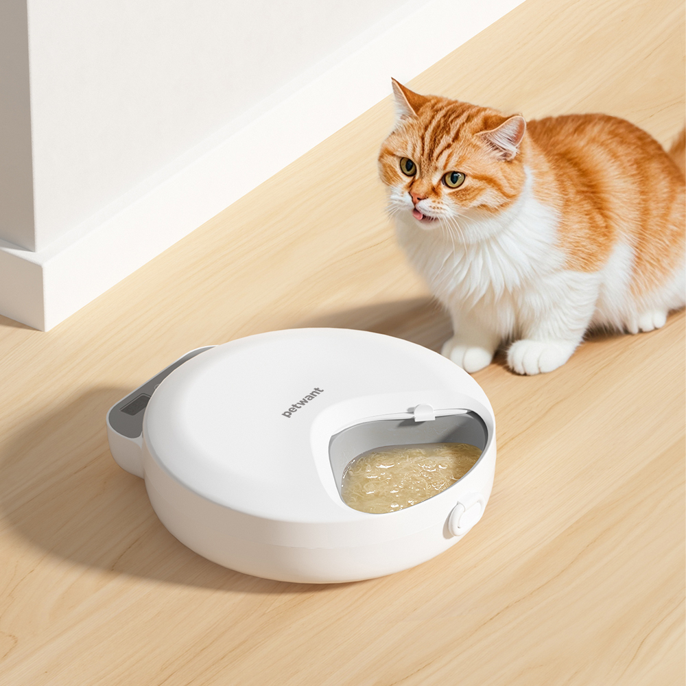 PETWANT 四餐寵物餵食器 F26-L