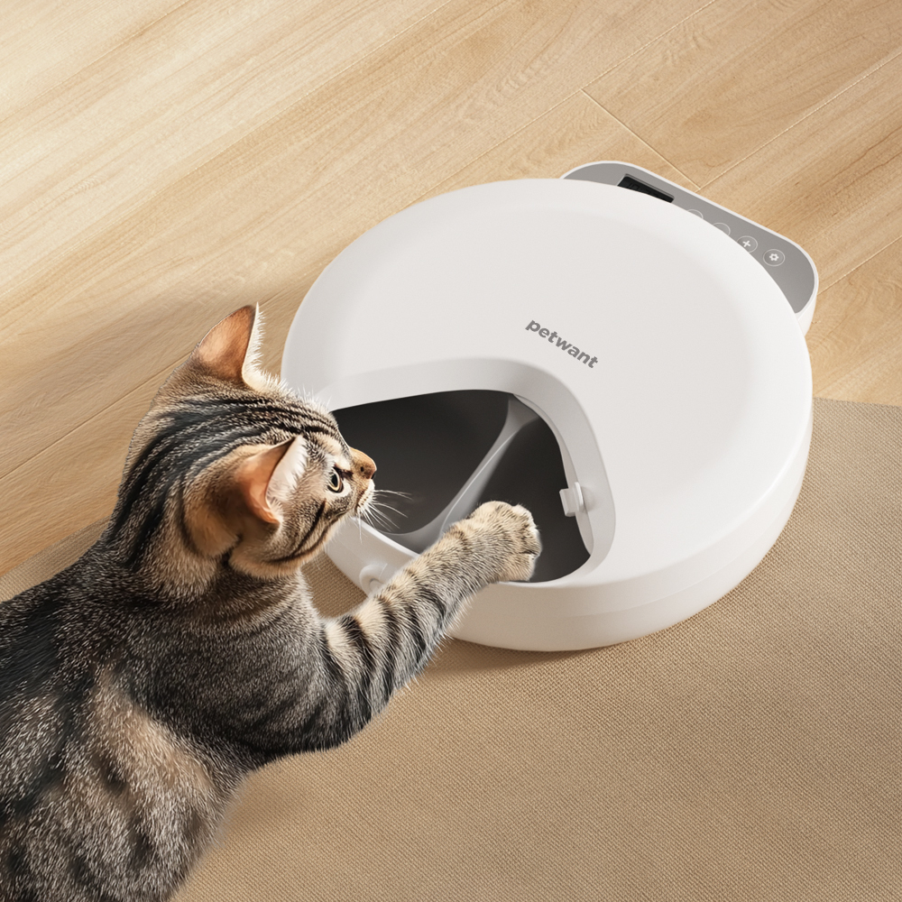 PETWANT 四餐寵物餵食器 F26-L