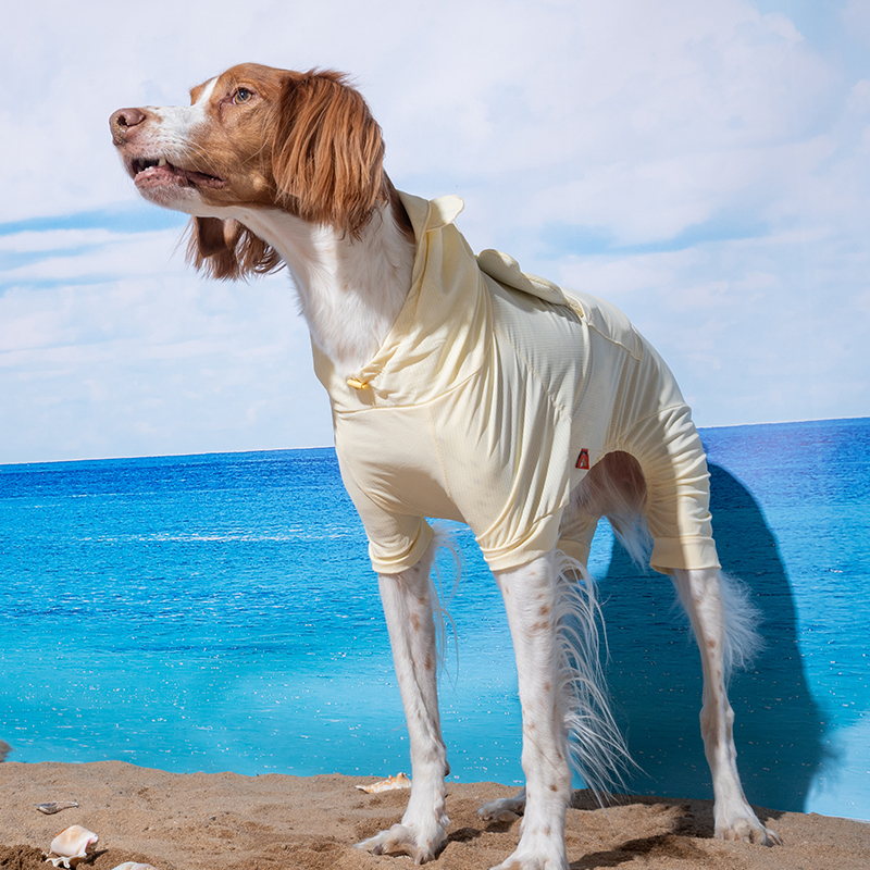 puppygallery｜貝爾熊涼感四腳衣 淡黃