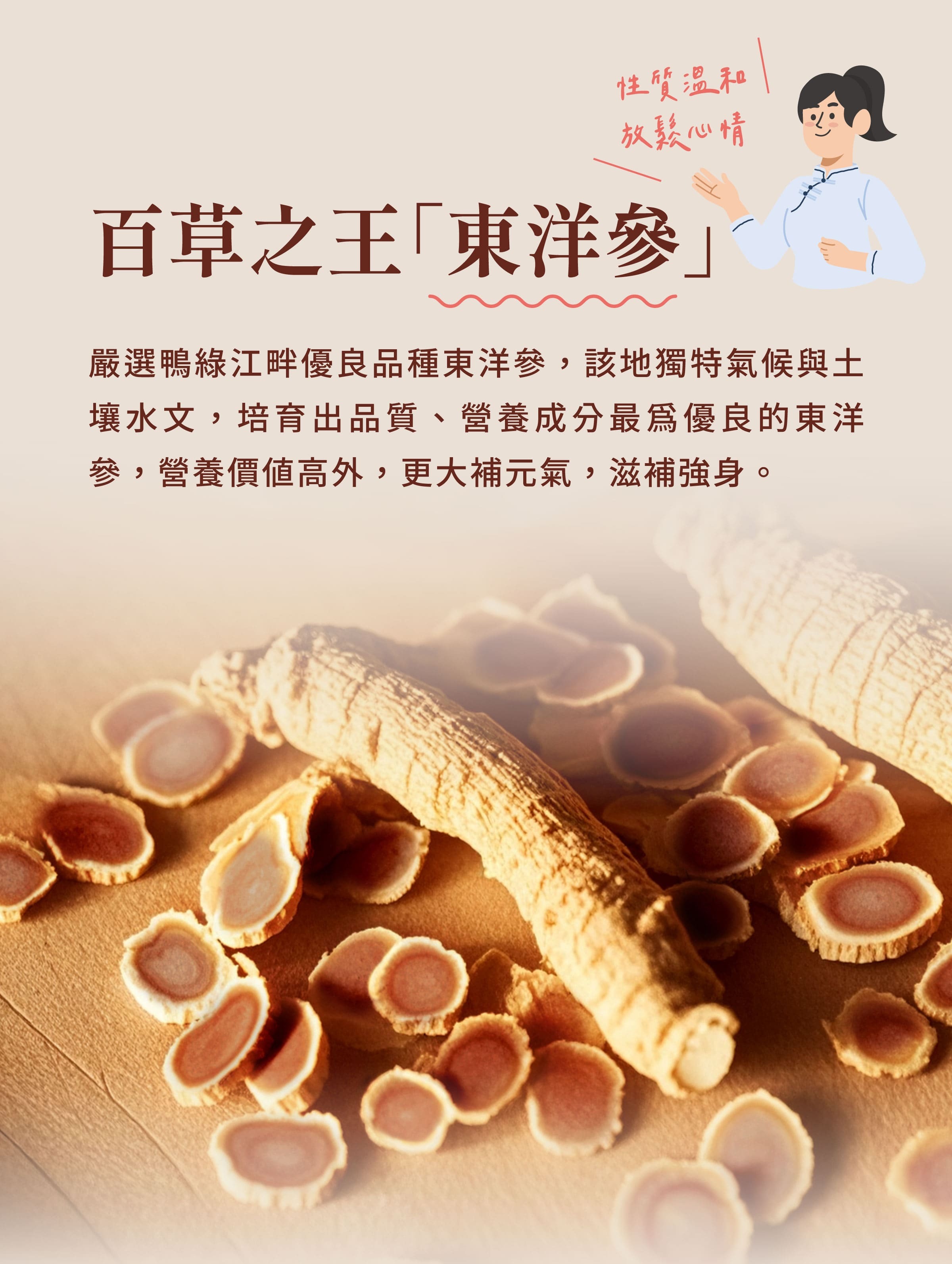 介紹東洋參養氣茶原料中藥之王東洋參