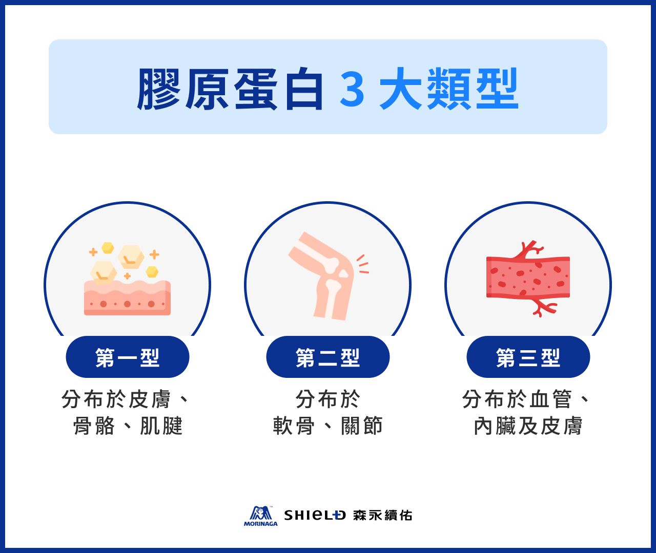 膠原蛋白 3 大類型