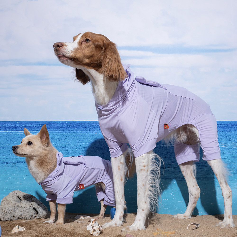 puppygallery｜貝爾熊涼感四腳衣 淡紫