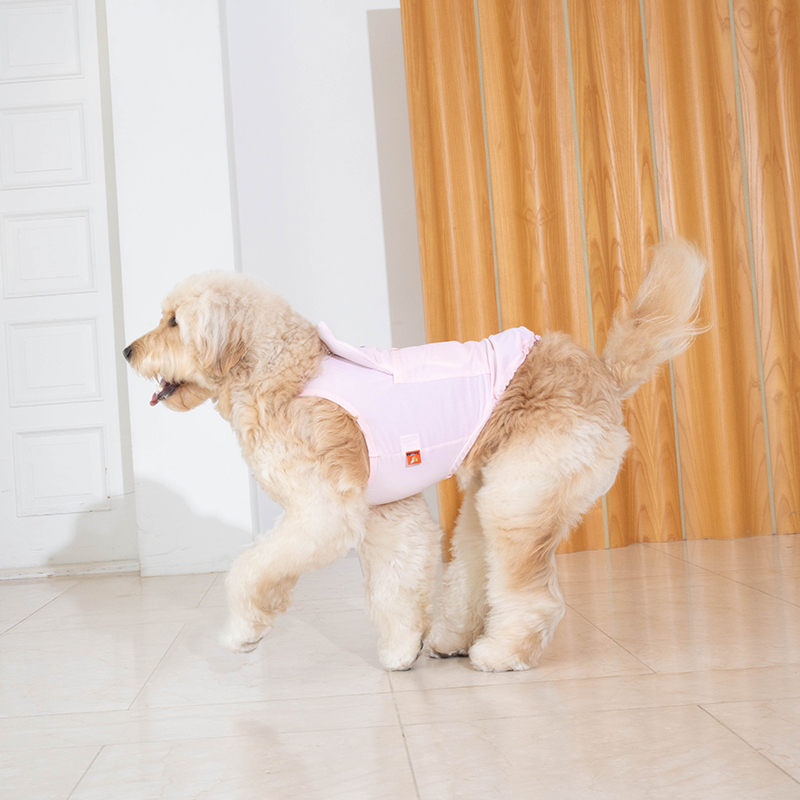 puppygallery｜貝爾熊涼感背心 淡粉