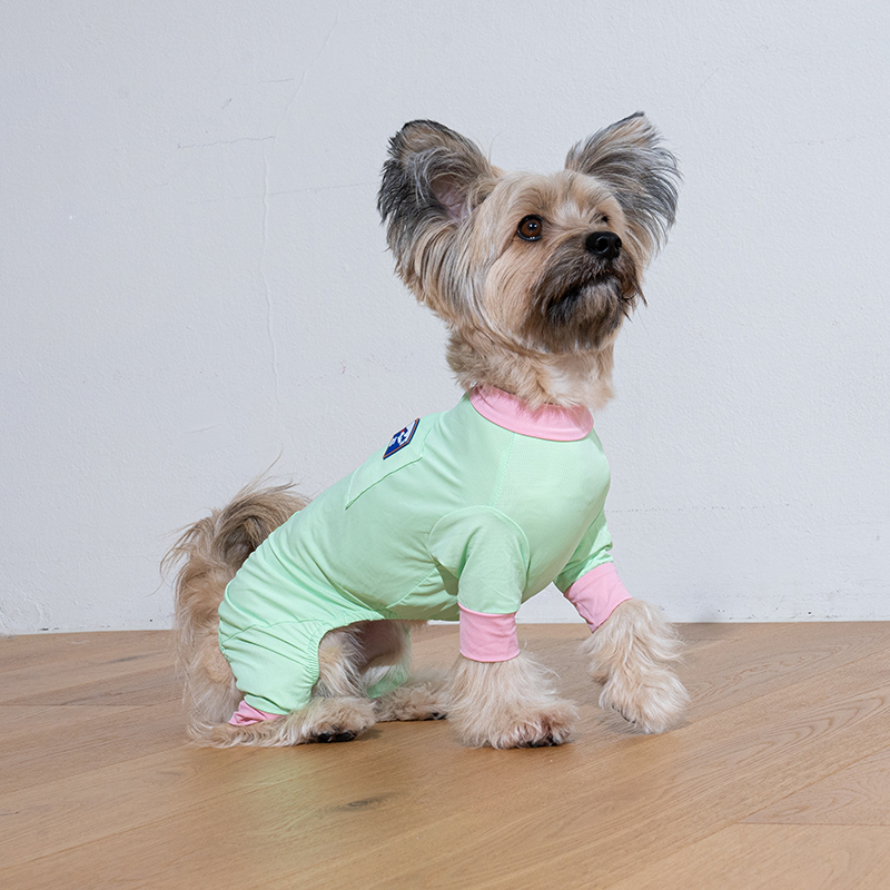 puppygallery｜外出涼感四腳衣 蘋果綠