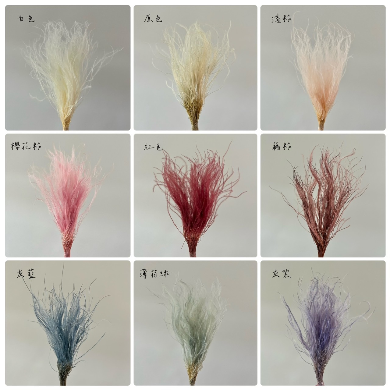 乾燥羽毛草(小)