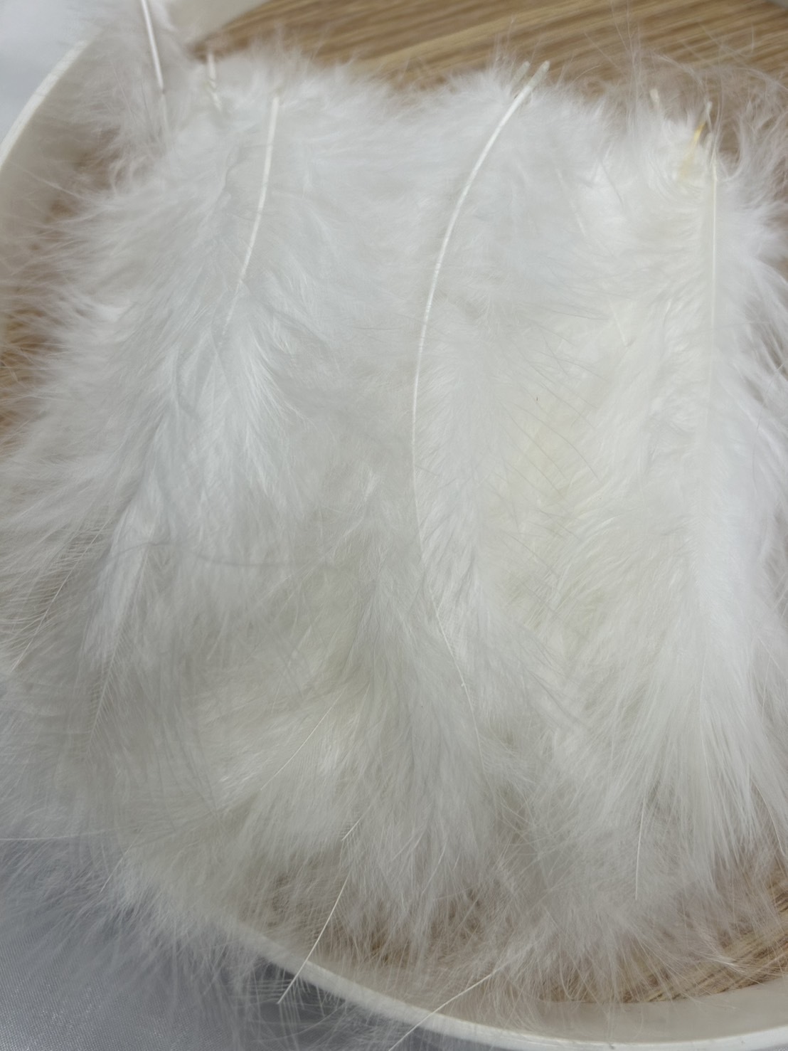 尖尾絨.長約8-15cm約50根入