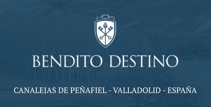 Bendito Destino Amphora 2022