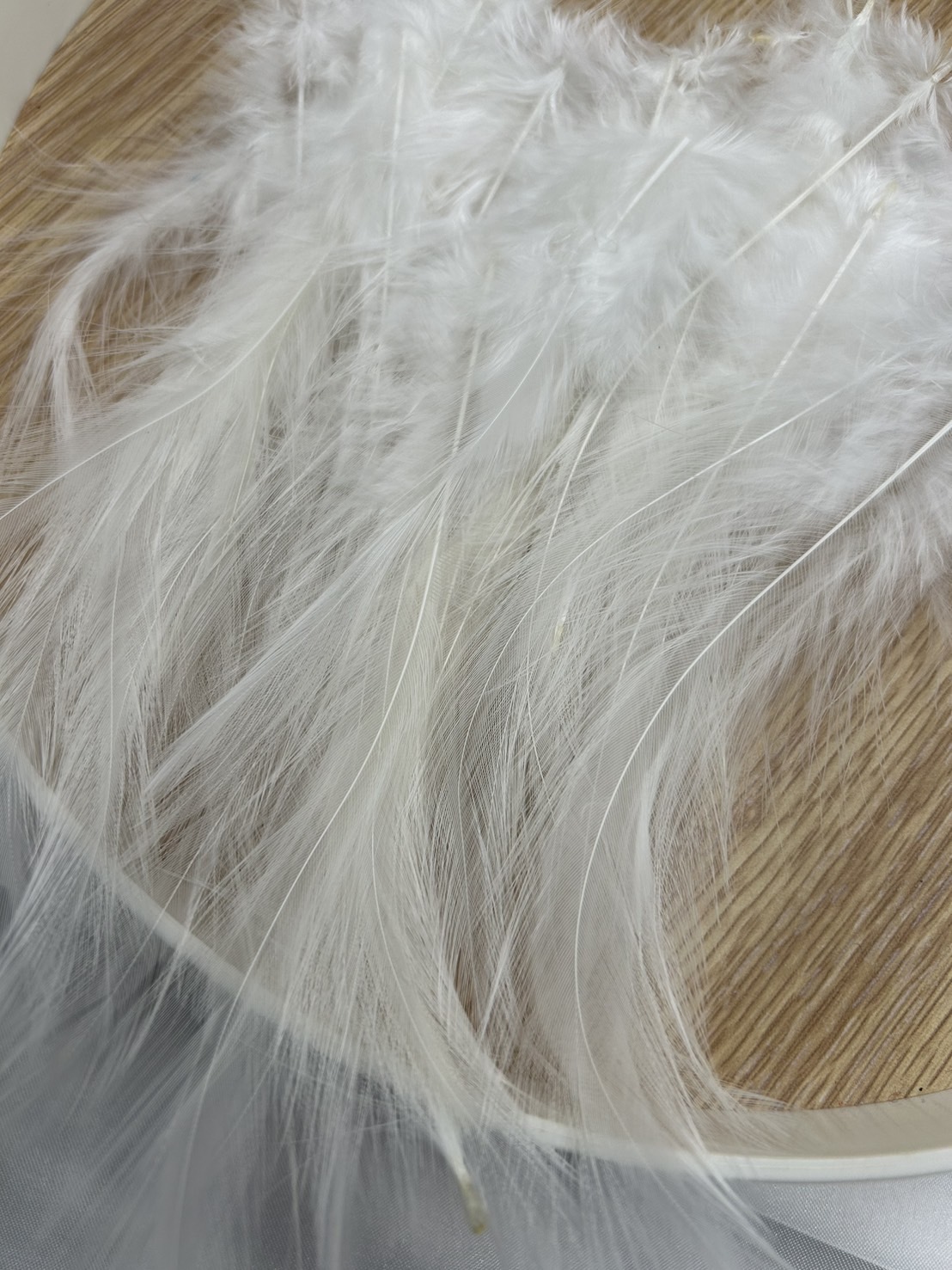 長白項.長約12-18cm約50根入