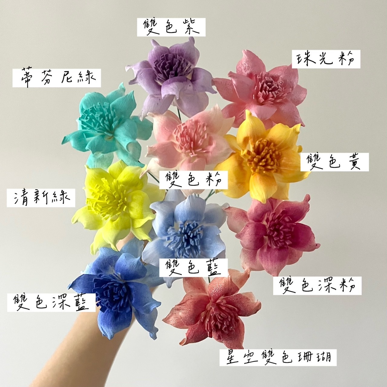 泰國索拉 扶桑花(新款) 4CM <十支一把> (高品質)