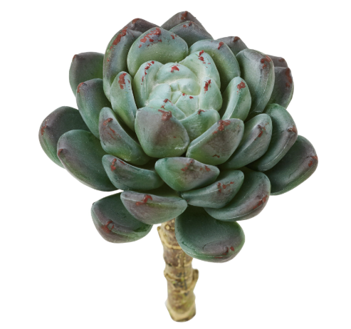 人造多肉 圓形石蓮花