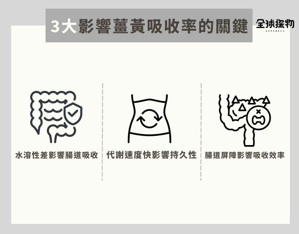 影響薑黃吸收率的3大關鍵因素
