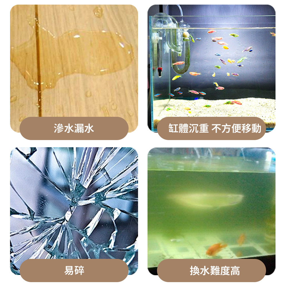 防爆生態缸 幫你解決以下問題